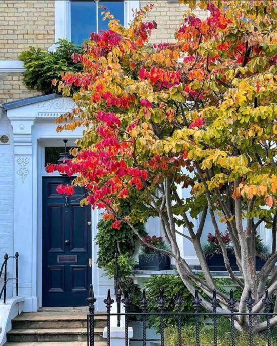 Chelsea Posh Apartment Лондон Экстерьер фото